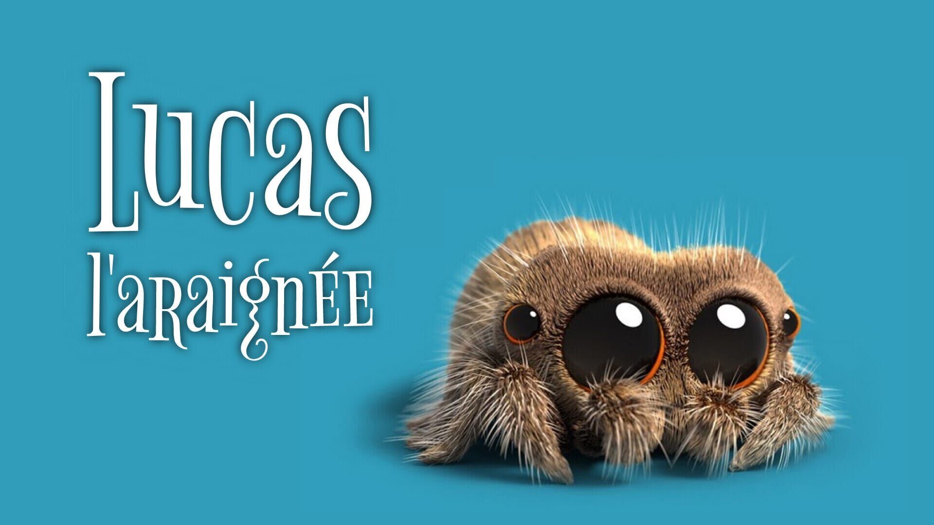 Vignette du programme télé Lucas l'araignée
