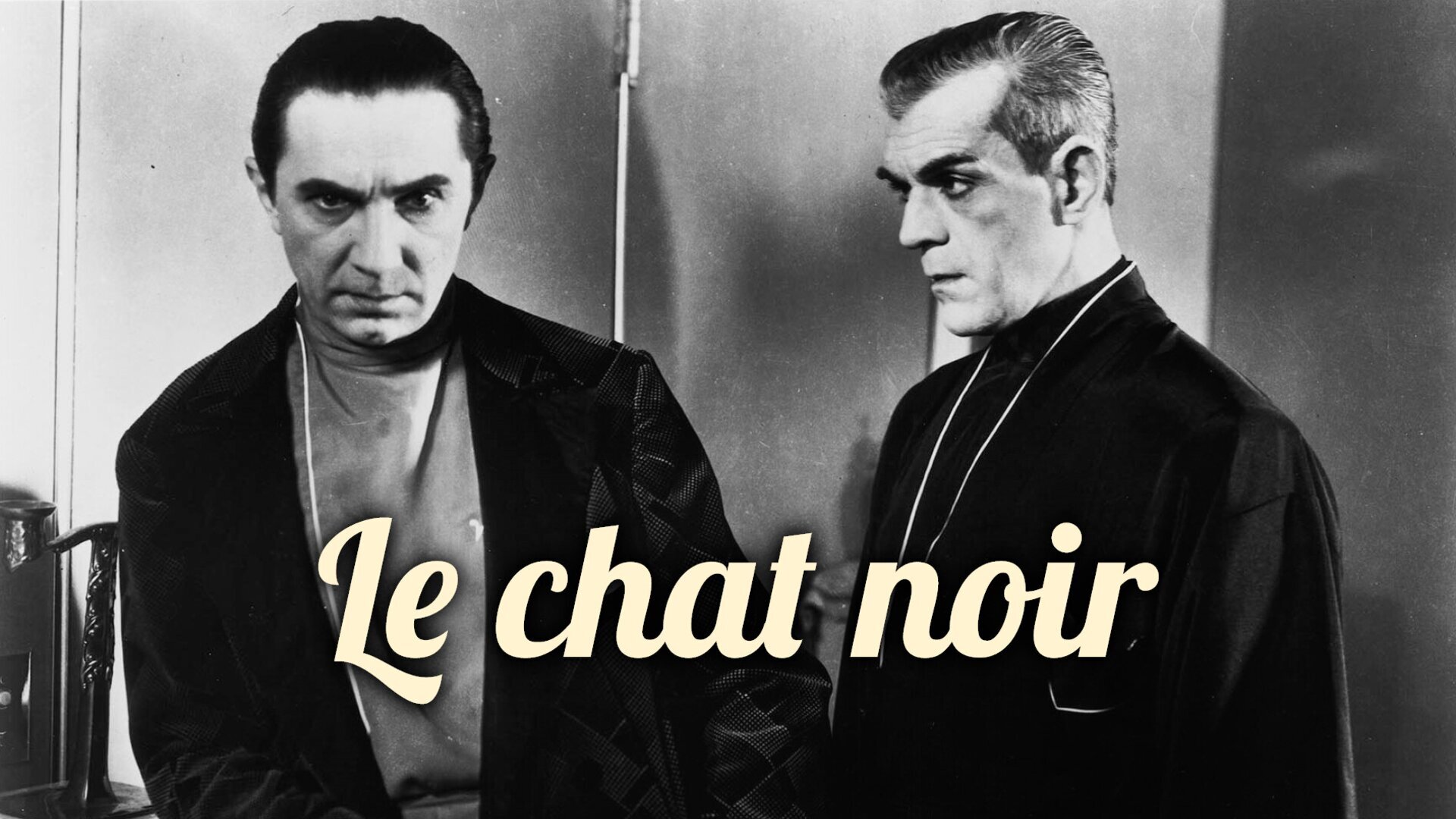 Vignette du programme télé Le chat noir