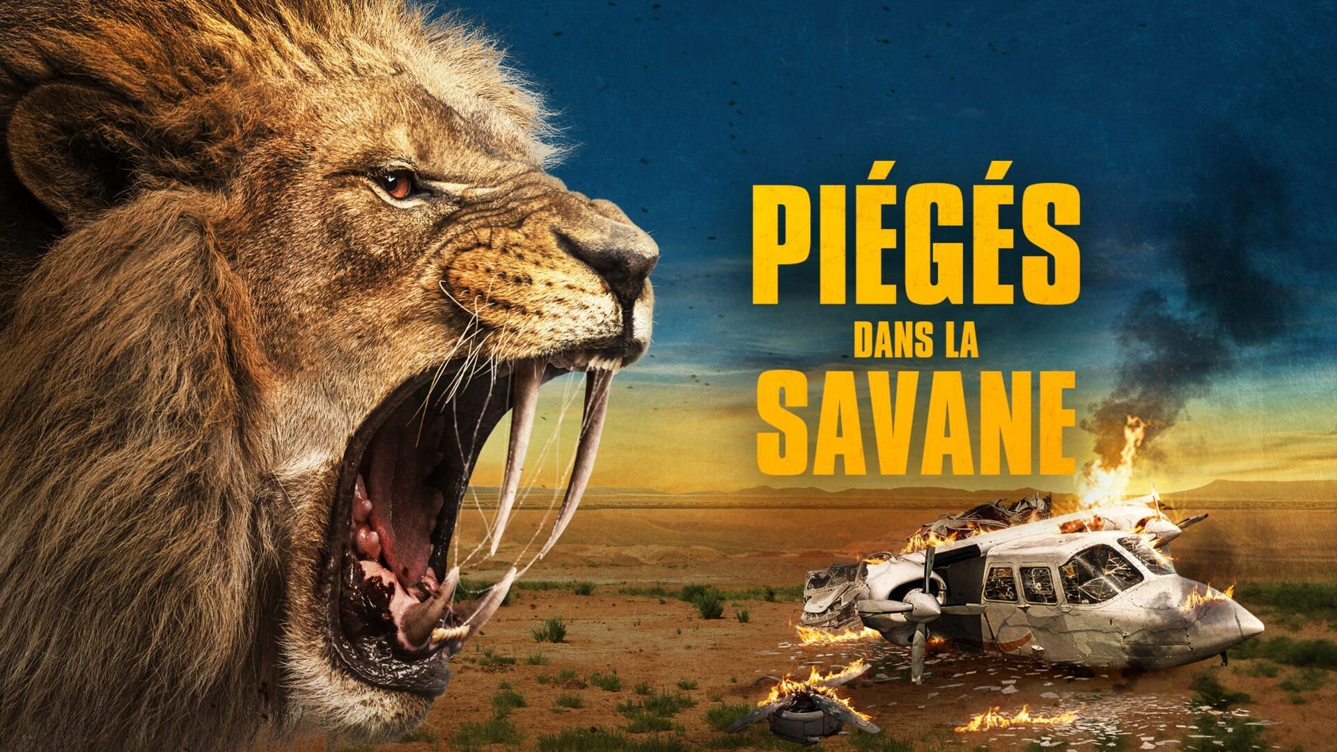 Vignette du programme télé Piégés dans la savane