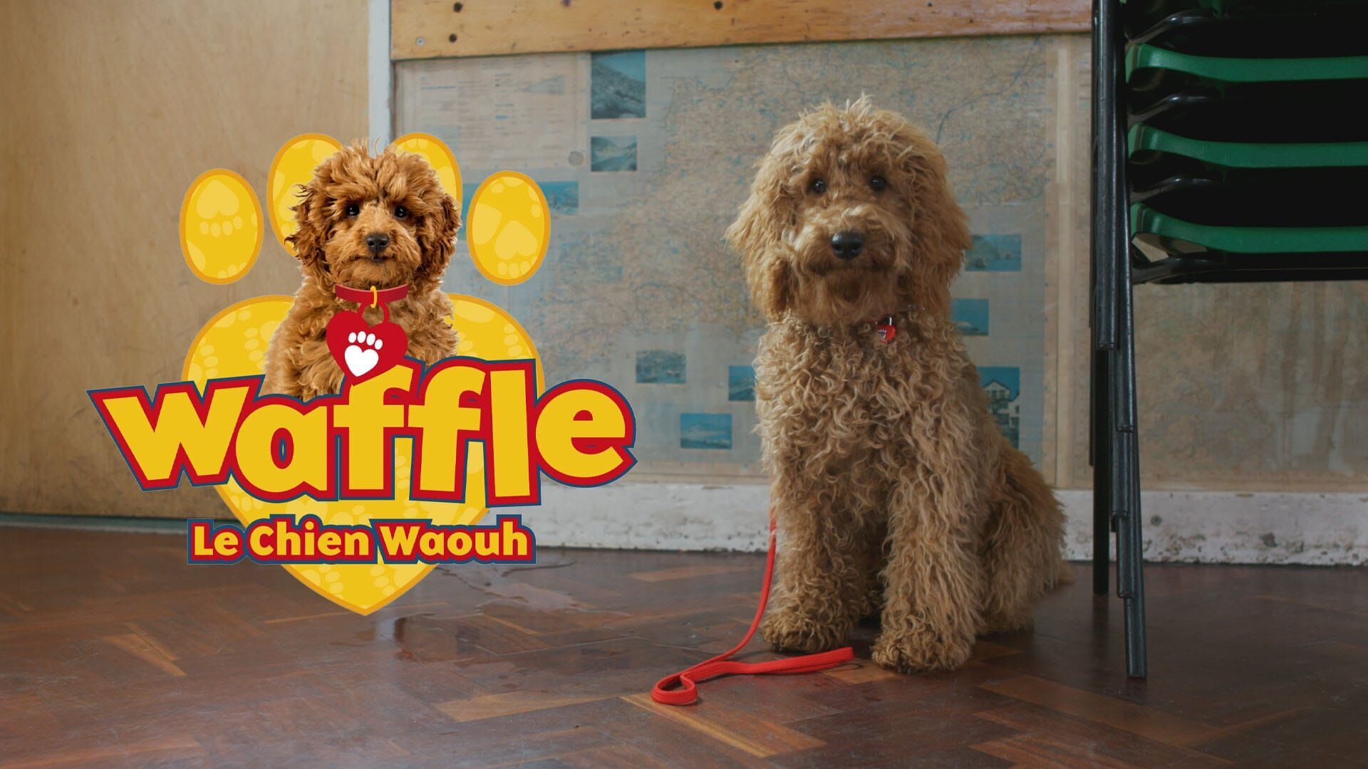 Vignette du programme télé Waffle, le chien waouh