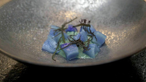 Vignette du programme télé Invitation au voyage