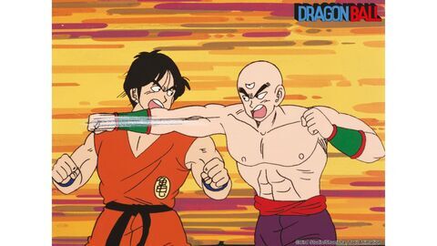 Vignette du programme télé Dragon Ball