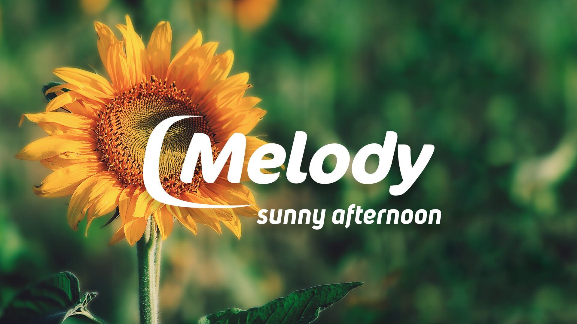 Vignette du programme télé Melody Sunny Afternoon