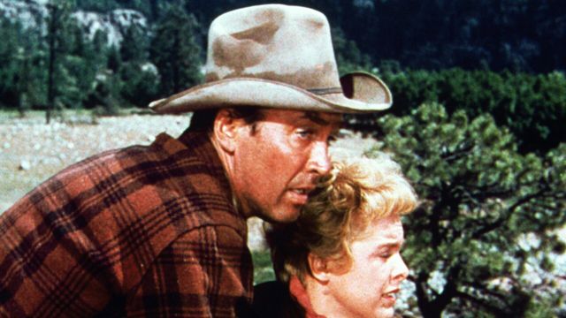 Vignette du programme télé L'appât