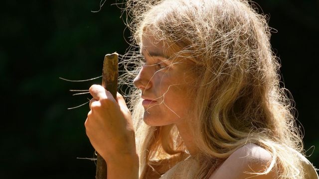 Vignette du programme télé Retour à l'instinct primaire - Saison 8