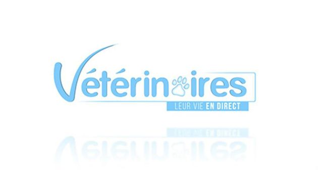 Vignette du programme télé Vétérinaires, leur vie en direct - Saison 1