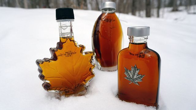 Vignette du programme télé GEO Reportage