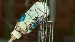 Vignette du programme télé SOS animaux orphelins (Petit babouin cherche nouvelle famille) S1 (12/13)