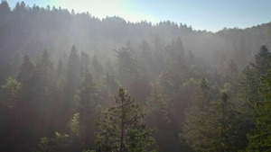 Vignette du programme télé Dr Pic Noir : urgences des bois