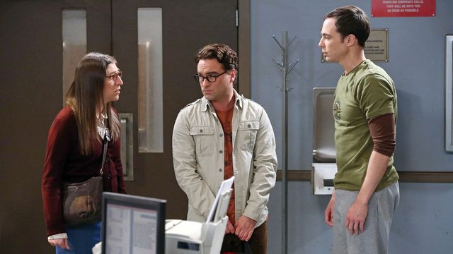 Vignette du programme télé Big Bang Theory - Saison 8