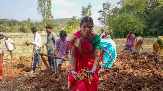 Vignette du programme télé GEO Reportage