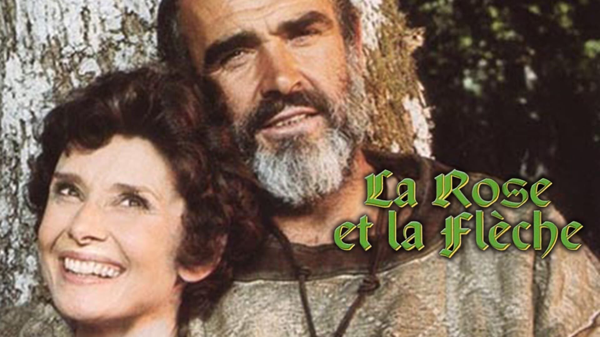 Vignette du programme télé La rose et la flèche