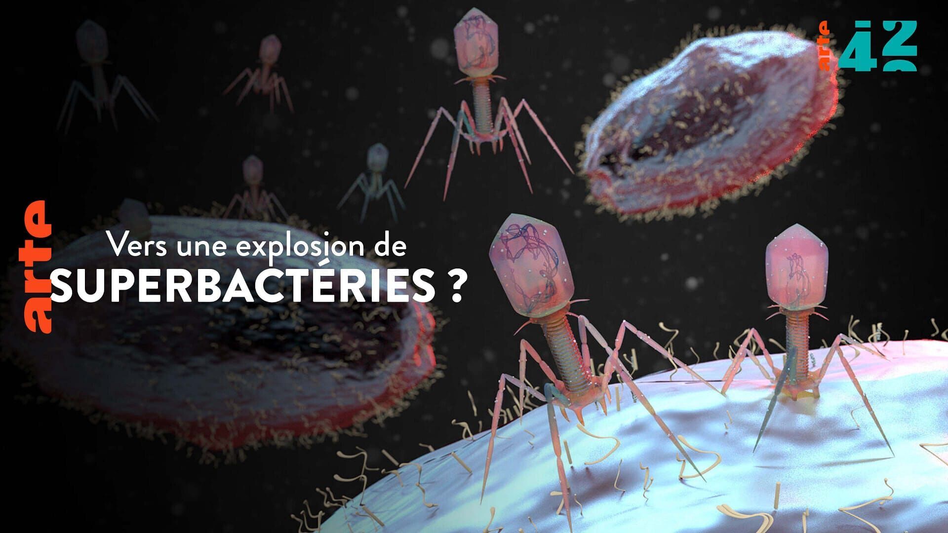 Vignette du programme télé 42, la réponse à presque tout