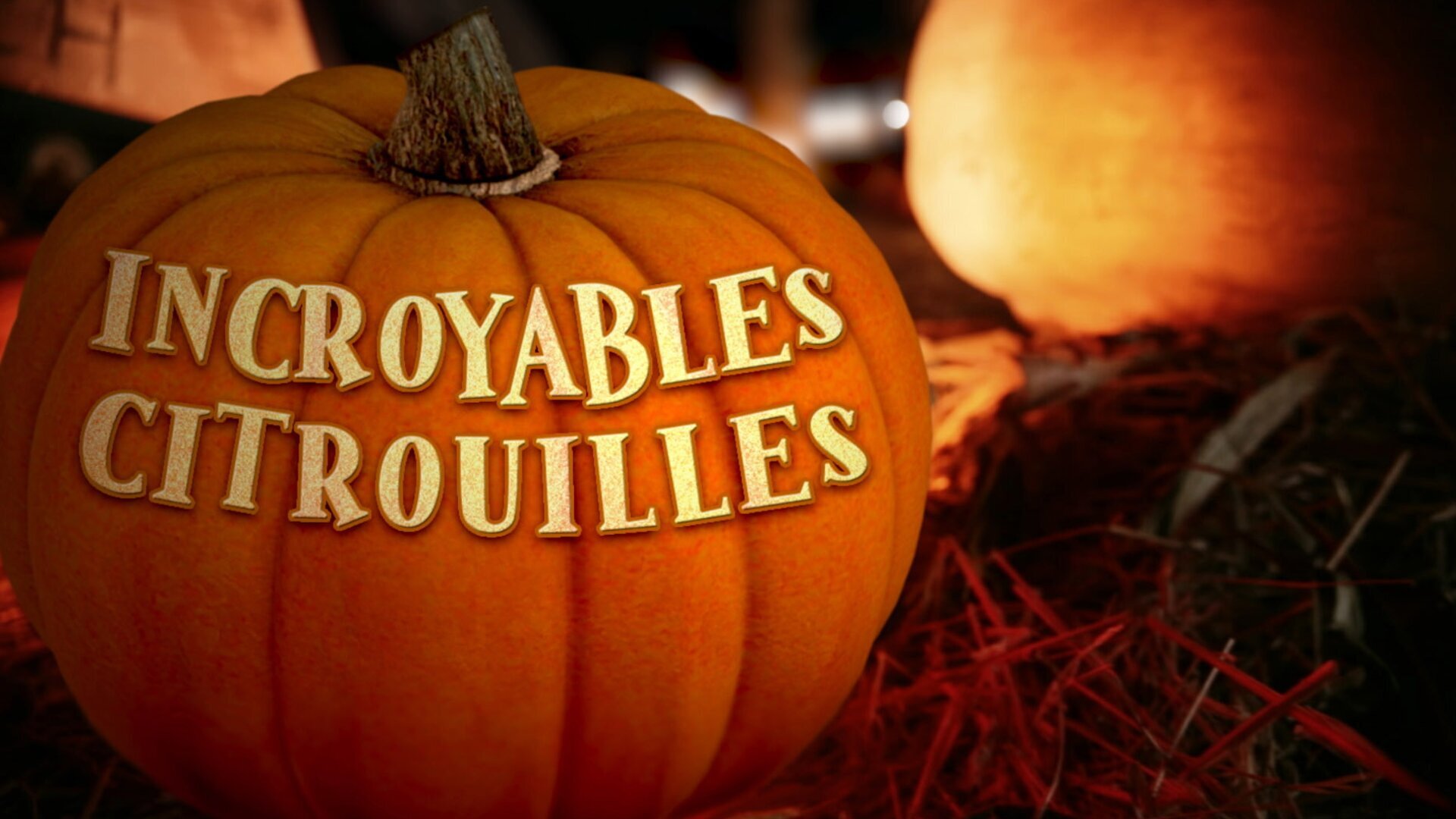 Vignette du programme télé Incroyables citrouilles