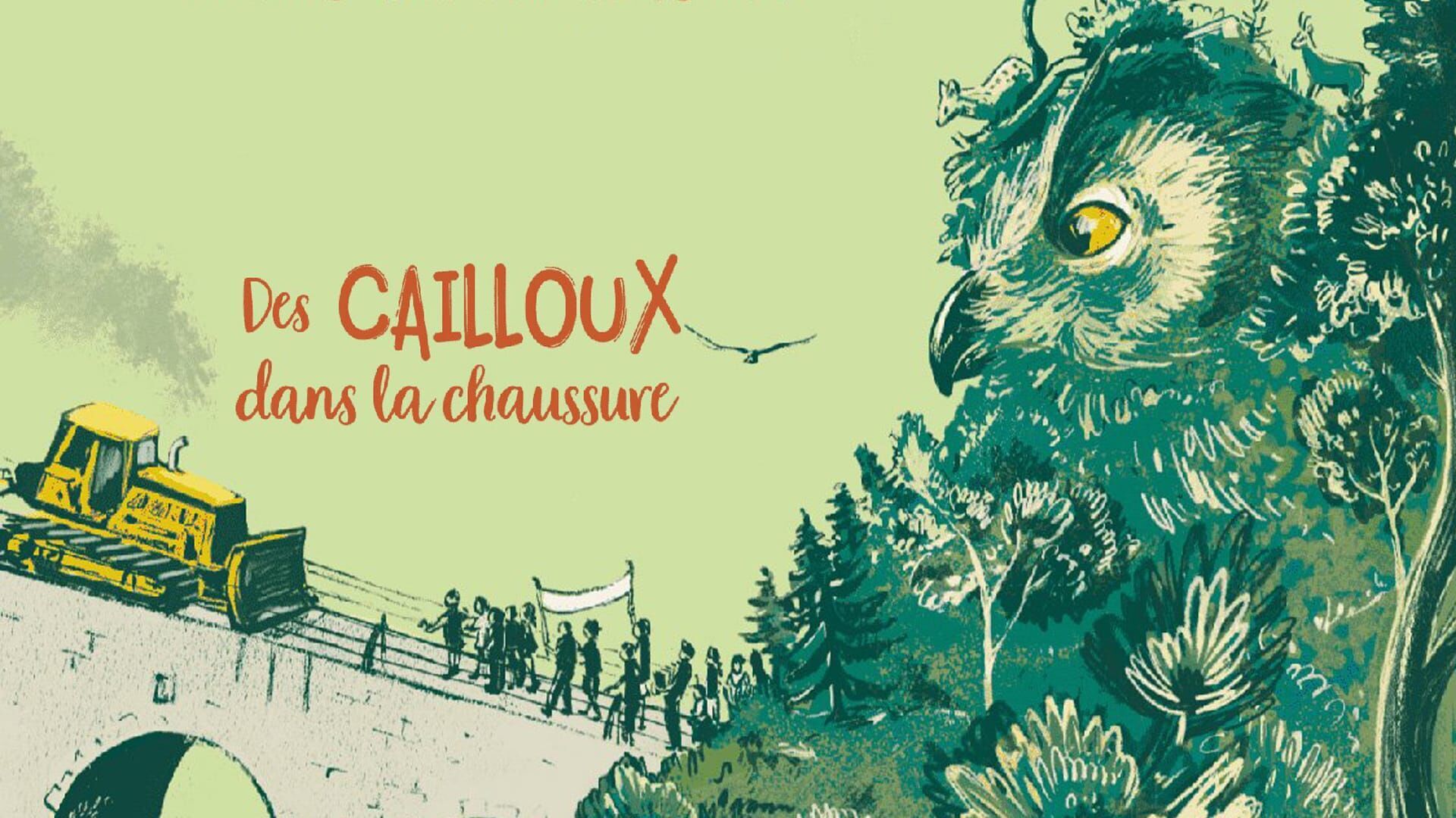 Vignette du programme télé Des cailloux dans la chaussure