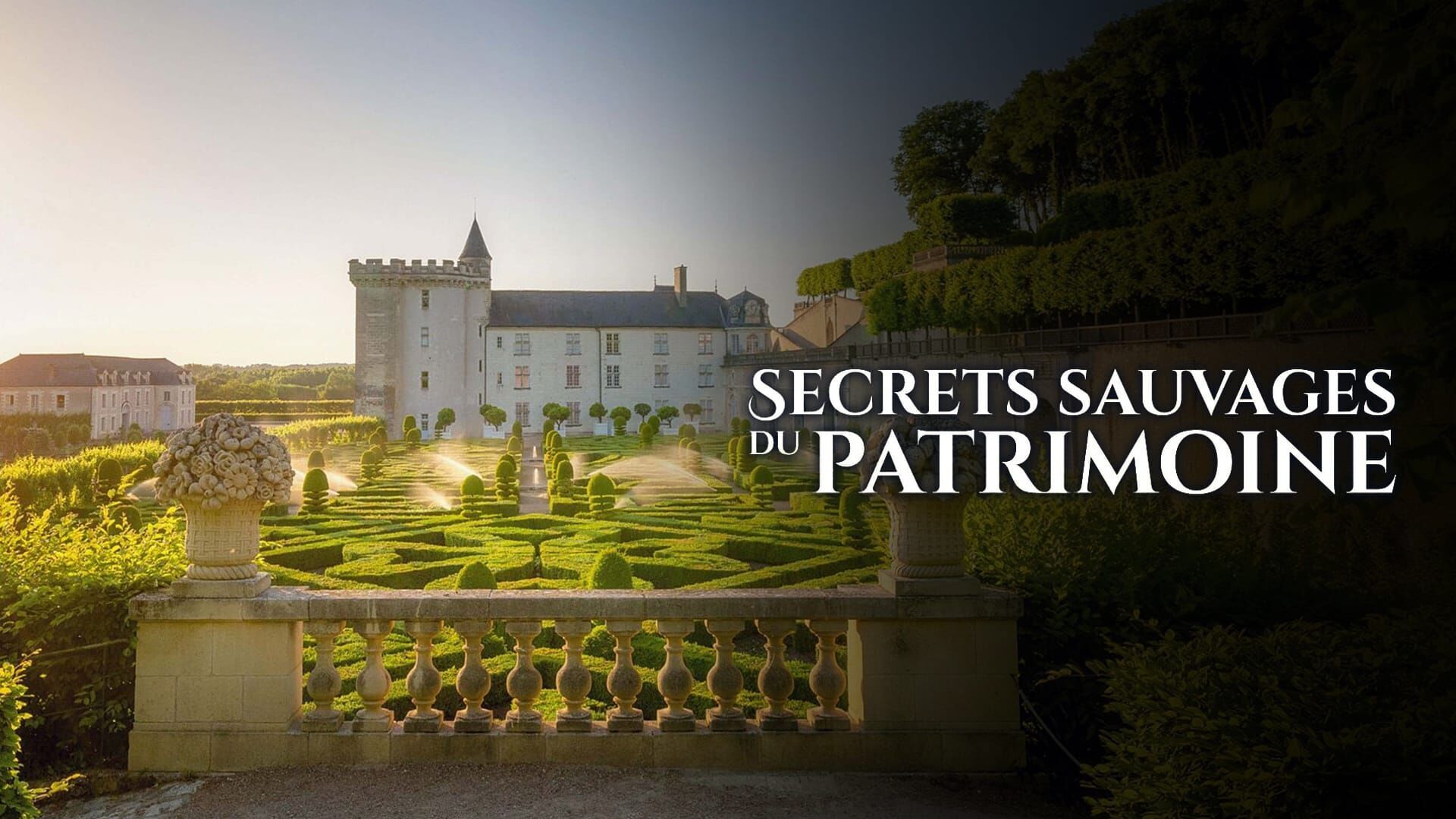 Vignette du programme télé Secrets sauvages du patrimoine