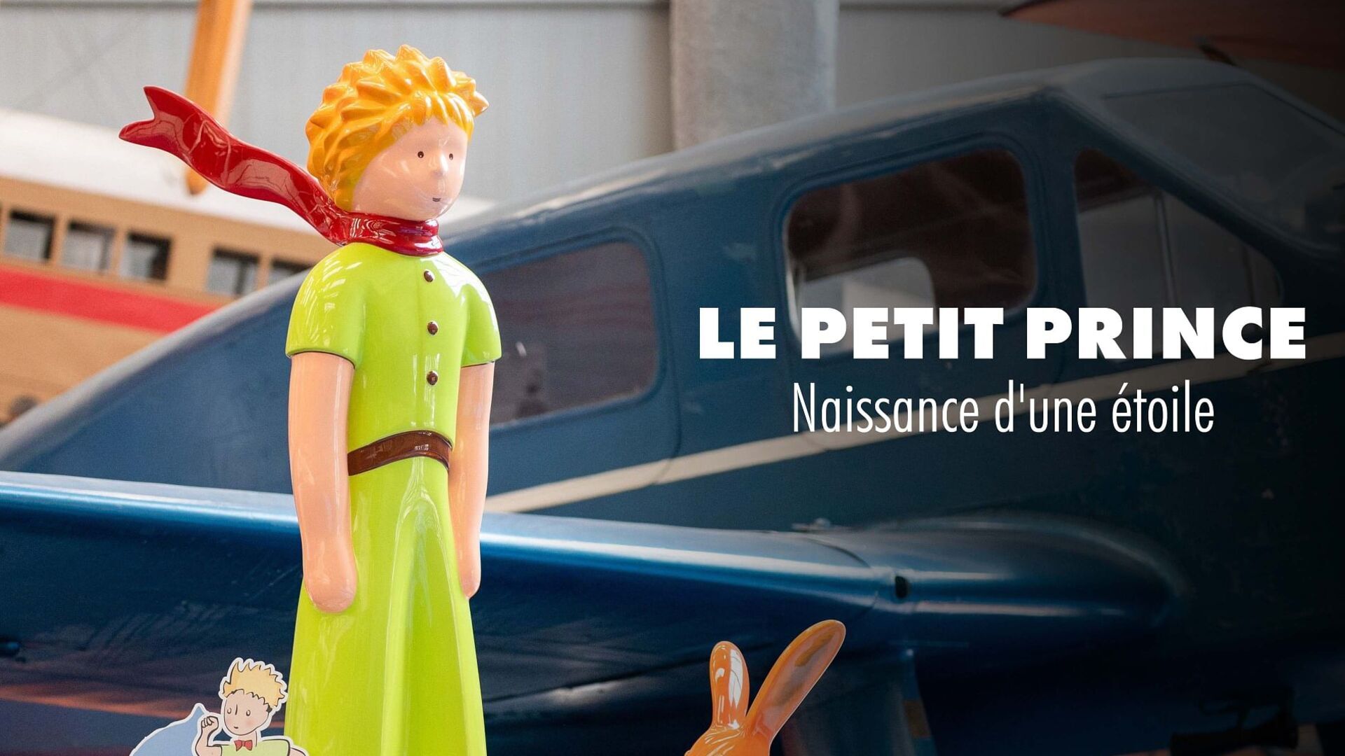 Vignette du programme télé "Le Petit Prince", naissance d'une étoile