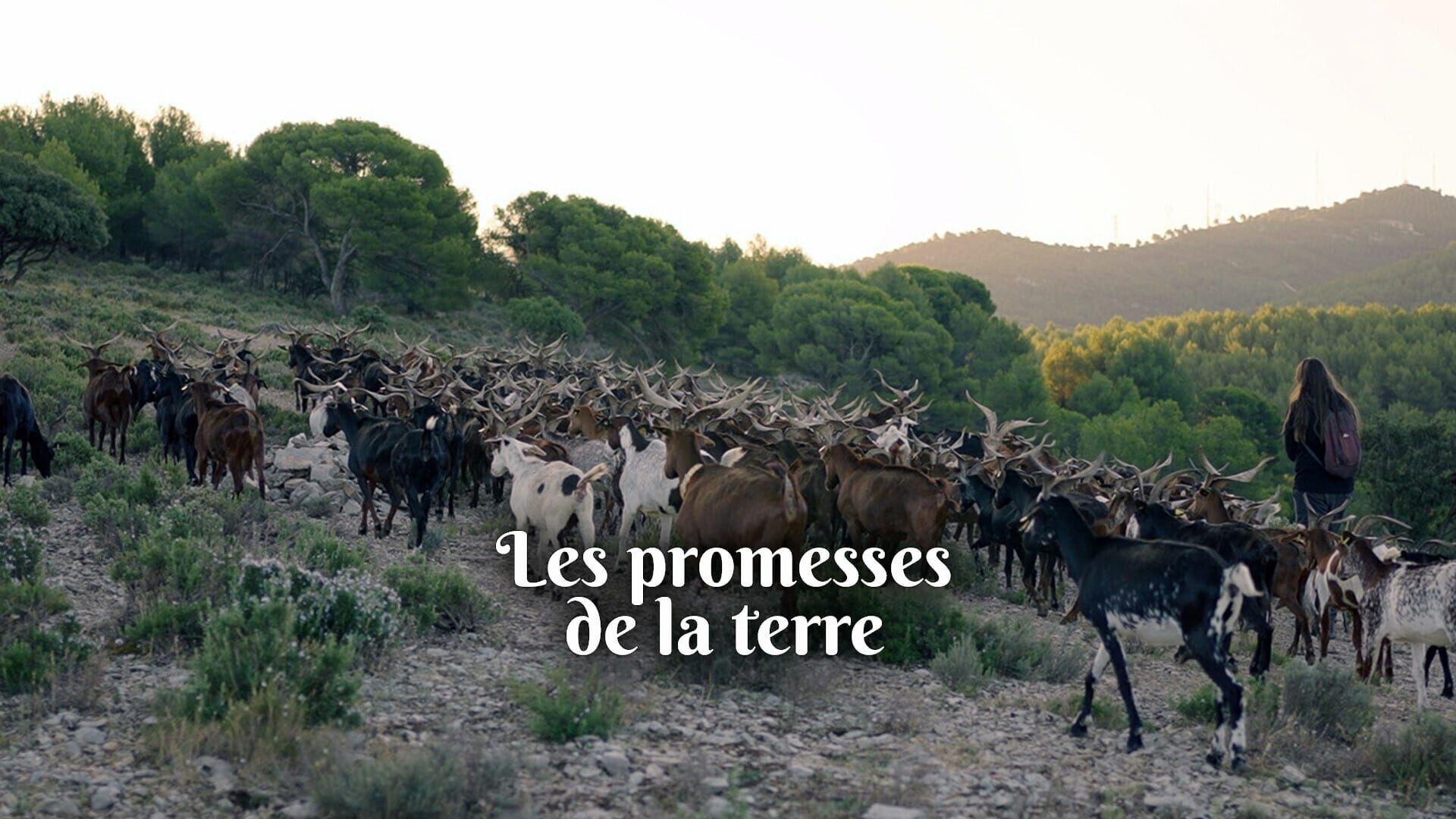 Vignette du programme télé Les promesses de la terre
