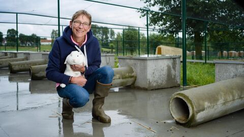 Vignette du programme télé Dr Cath & Co