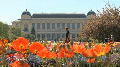 Vignette du programme télé Les carnets de Julie