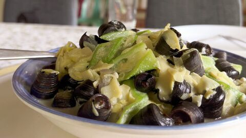 Vignette du programme télé Invitation au voyage