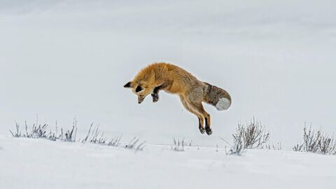 Vignette du programme télé Pris sur le vif