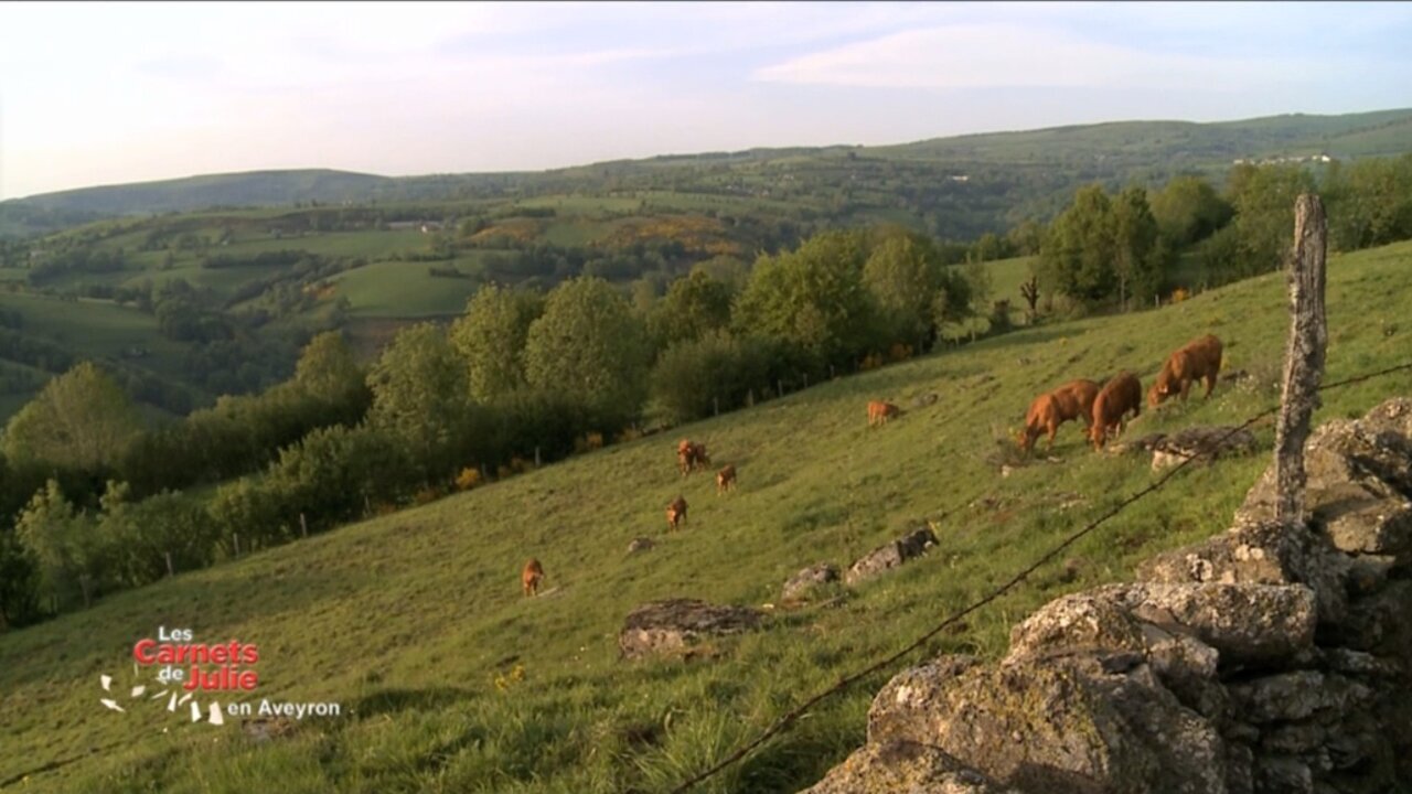 Vignette du programme télé Les carnets de Julie