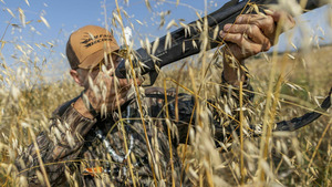 Vignette du programme télé Québec à vol d'oiseau S15