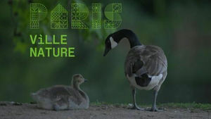 Vignette du programme télé Paris ville nature