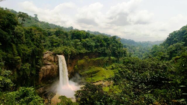 Vignette du programme télé Sounds of 237