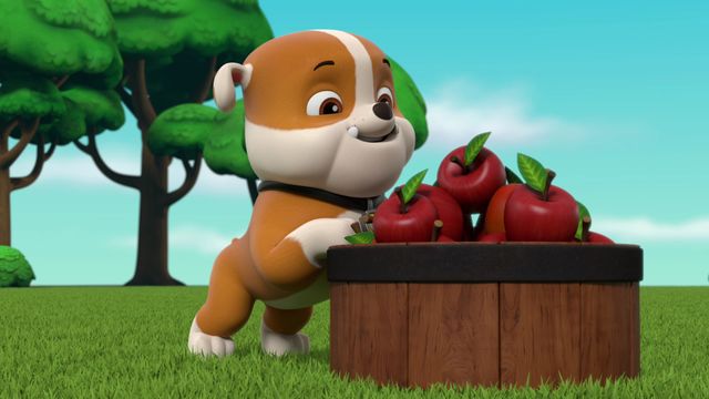 Vignette du programme télé Paw Patrol, la Pat'Patrouille - Saison 8