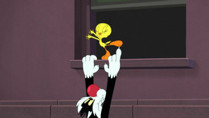 Vignette du programme télé Looney Tunes Cartoons (Un déjeuner à la hauteur /Le bateau du diable) S5 (3/11)