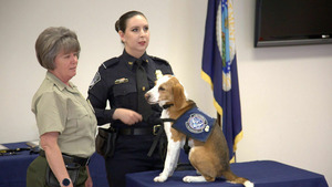 Vignette du programme télé Ultimate Airport USA (Cocaïne à bord) S7 (n°2)