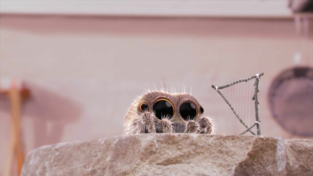 Vignette du programme télé Lucas l'araignée