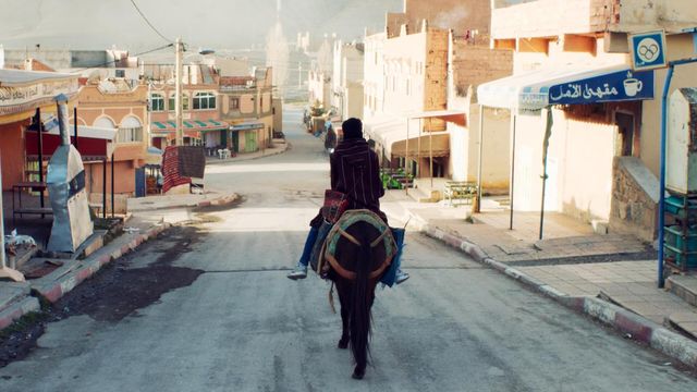 Vignette du programme télé Qu'importe si les bêtes meurent