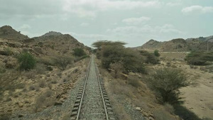 Vignette du programme télé Chemin de terre