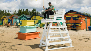 Vignette du programme télé Les rois du château de sable S4 (n°7)