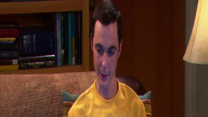 Vignette du programme télé Big Bang Theory (La saga de l'escalier) S3 (22/23)