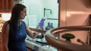 Vignette du programme télé Le cosmos dans tous ses états (Au coeur des méga-tempêtes de l'espace) S3 (6/10)