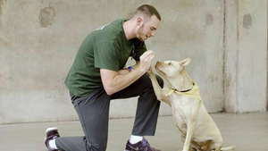 Vignette du programme télé Des chiens et des hommes : Les secrets d'une amitié