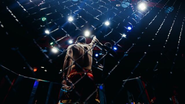 Vignette du programme télé Format MMA