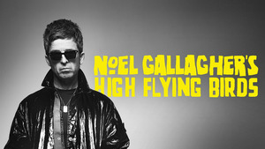 Vignette du programme télé Noel Gallaghers High Flying Birds en concert au Zénith de Paris