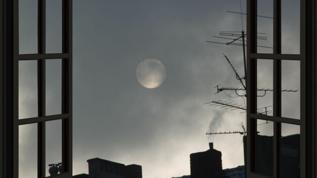 Vignette du programme télé Programmes de la nuit