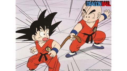 Vignette du programme télé Dragon Ball