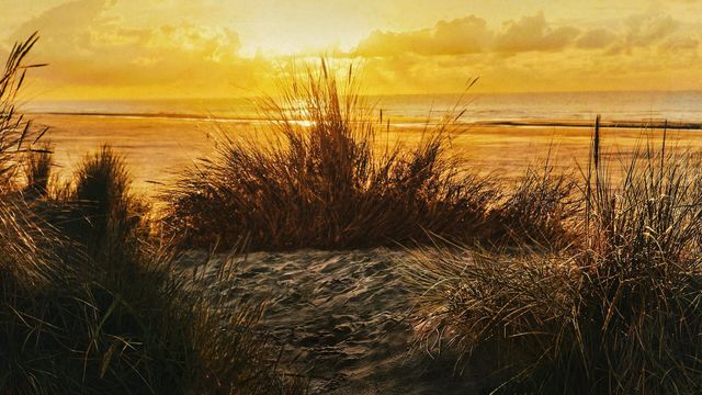 Vignette du programme télé Retour à l'instinct primaire - Saison 7