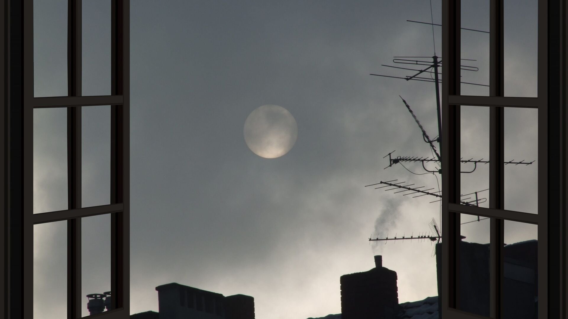 Vignette du programme télé Programmes de la nuit