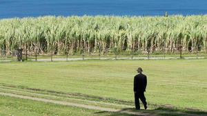 Vignette du programme télé Des crimes presque parfaits (L'affaire Aliker, la vérité assassinée en Martinique) S12 (n°6)