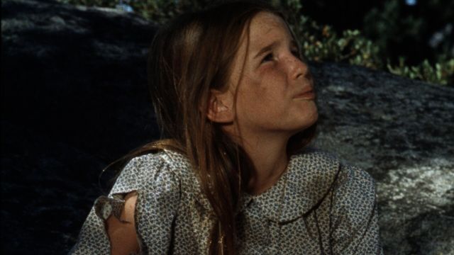 Vignette du programme télé La petite maison dans la prairie - Saison 2