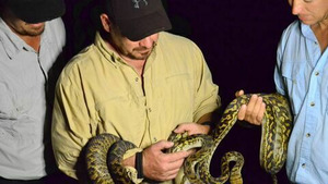 Vignette du programme télé Chasseurs de pythons (Dangereuse Australie) S3 (2/10)