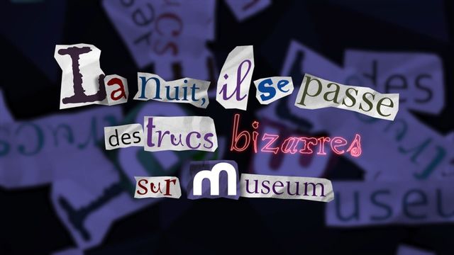 Vignette du programme télé Video Art